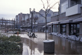 Flooded street