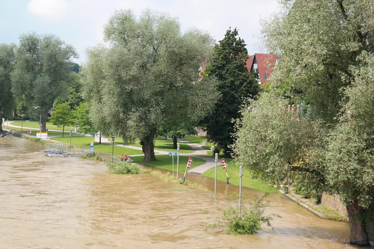 flood, road, locked, damage, flood damage, destruction, danube, ulm, nature, flooding, water, water level, peak, flow, riverside, catastrophe, flood disaster, storm, force of nature, civil protection, flood of the century, climate change